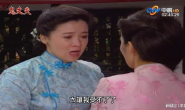 电视剧梅花,乱世佳人，风华绝代